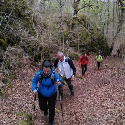 2104 Roqueredonde Plateau Escandorgue 027