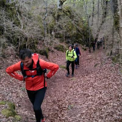 2104 Roqueredonde Plateau Escandorgue 029