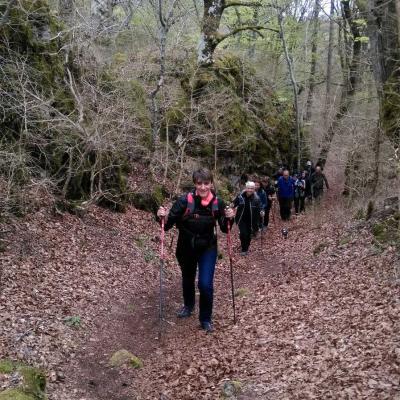 2104 Roqueredonde Plateau Escandorgue 032