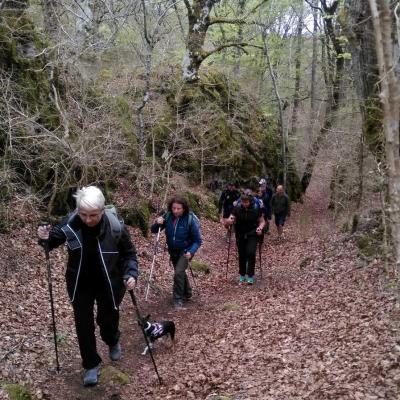 2104 Roqueredonde Plateau Escandorgue 034