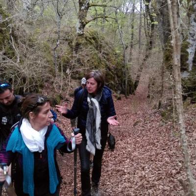 2104 Roqueredonde Plateau Escandorgue 040