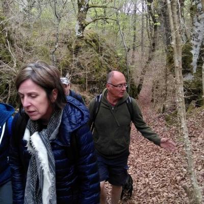 2104 Roqueredonde Plateau Escandorgue 041