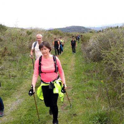 2104 Roqueredonde Plateau Escandorgue 047