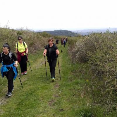 2104 Roqueredonde Plateau Escandorgue 050