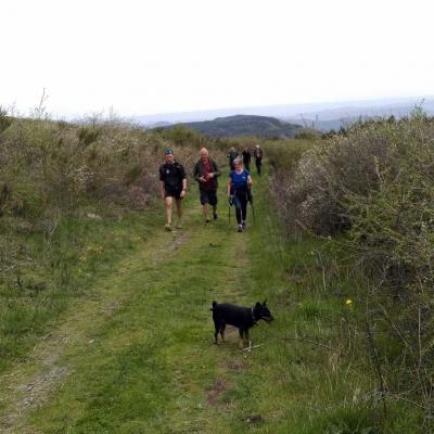 2104 Roqueredonde Plateau Escandorgue 051