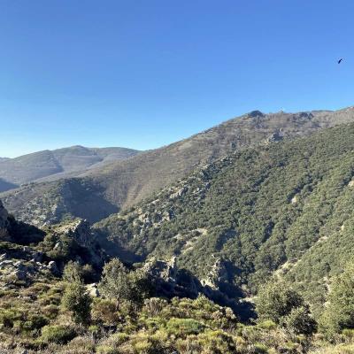 Occitanie Rando Trekking Grp Montagne Haut Languedoc Caroux Compeyres 43