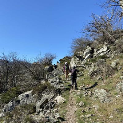 Occitanie Rando Trekking Grp Montagne Haut Languedoc Caroux Compeyres 81