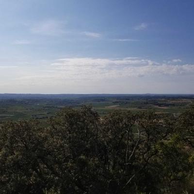 Occitanie Rando Randonnee Herault Fontes Volcans Vignes Ceressou Celessou 07