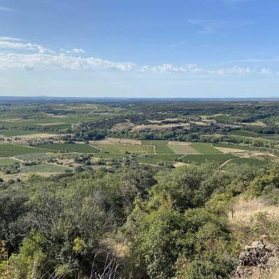 Occitanie Rando Randonnee Herault Fontes Volcans Vignes Ceressou Celessou 23