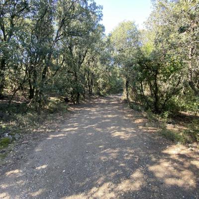 Occitanie Rando Randonnee Herault Fontes Volcans Vignes Ceressou Celessou 31