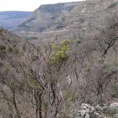 3103 Corniche De Lauroux 031