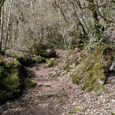 3103 Corniche De Lauroux 066