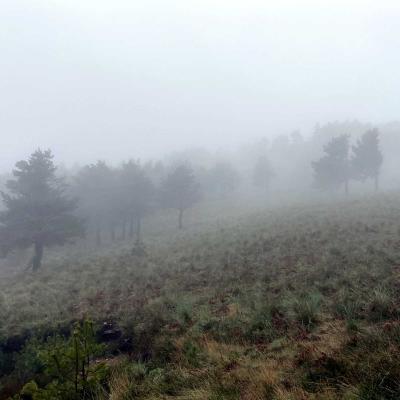 Occitanie Rando Trekking Herault Andabre Chapelle Saint Eutrope Saint Gervais Sur Mare 76