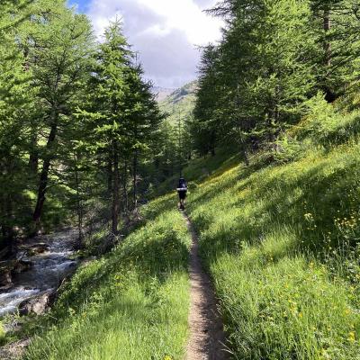 Occitanie Rando Randonnee Itinerante Grand Tour Queyras 13 Jours Gr 58 218