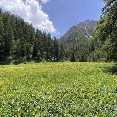 Occitanie Rando Randonnee Itinerante Grand Tour Queyras 13 Jours Gr 58 62