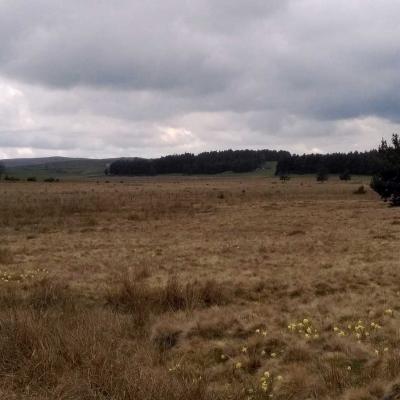 Tdm Aubrac Chemin St Guilhem 210