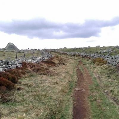 Tdm Aubrac Chemin St Guilhem 223