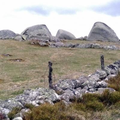 Tdm Aubrac Chemin St Guilhem 225