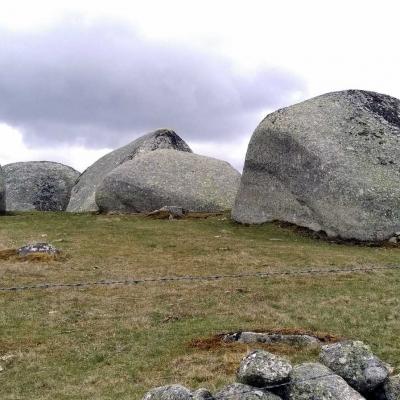 Tdm Aubrac Chemin St Guilhem 226