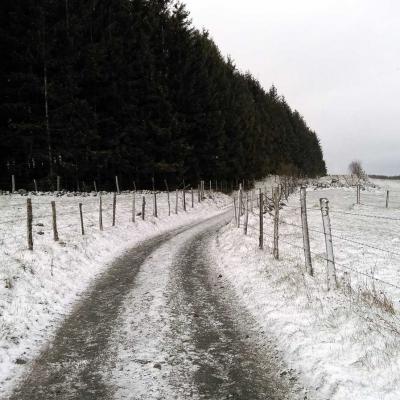 Tdm Aubrac Chemin St Guilhem 243