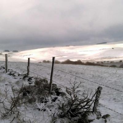 Tdm Aubrac Chemin St Guilhem 252