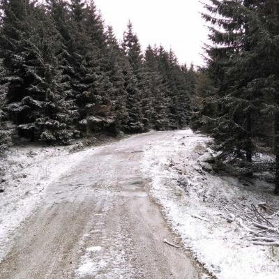 Tdm Aubrac Chemin St Guilhem 264