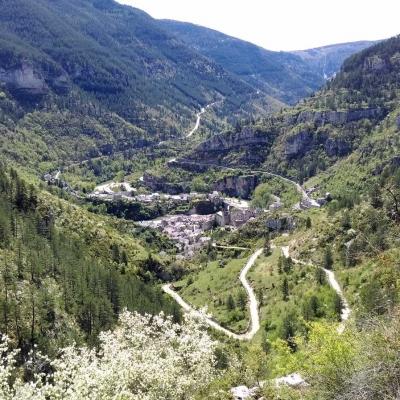 Tdm Aubrac Chemin St Guilhem 329