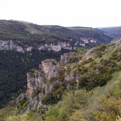 Tdm Aubrac Chemin St Guilhem 359