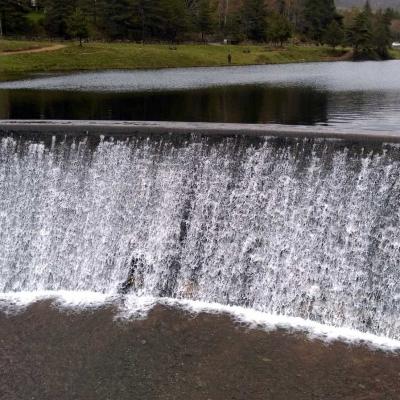 Tdm Aubrac Chemin St Guilhem 377