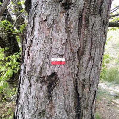 Tdm Aubrac Chemin St Guilhem 394