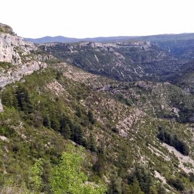 Tdm Aubrac Chemin St Guilhem 432