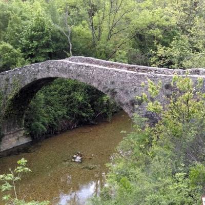 Tdm Aubrac Chemin St Guilhem 452