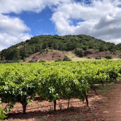 Occitanie Rando Randonnee Itinerante Herault Lac Salagou Ruffes Rouens Sure 148