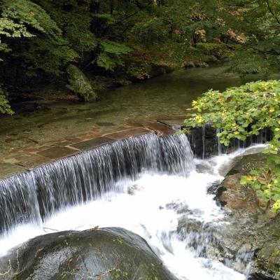 Occitanie Rando Randonnee Grp Montagne Haut Languedoc Espinouse Caroux Raviege Somail106