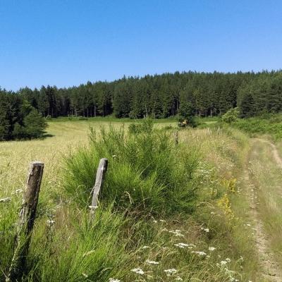 Occitanie Rando Randonnee Grp Montagne Haut Languedoc Espinouse Caroux Raviege Somail53