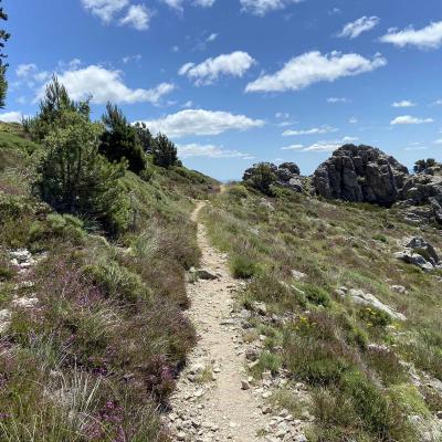 Occitanie Rando Randonnee Grp Montagne Haut Languedoc Espinouse Caroux Raviege Somail76