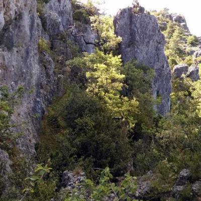 Occitanie Rando Randonnee Pegairolles Escalette Larzac 59