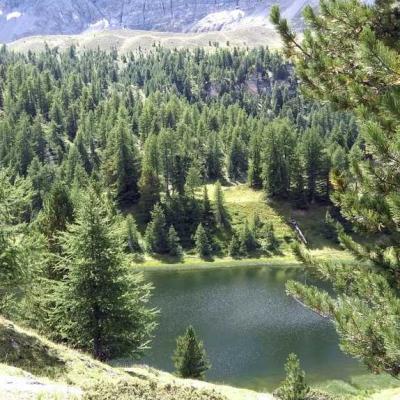 Occitanie Rando Randonnee Hautes Alpes Ceillac Lac Miroir Cascade Pisse 85