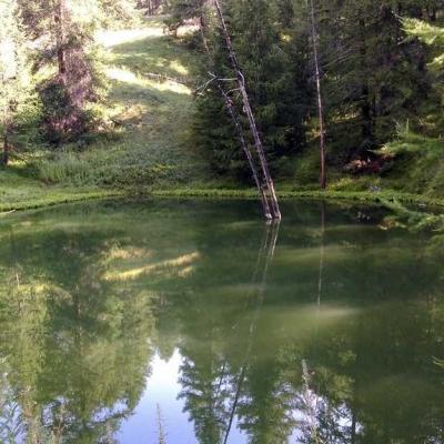 Occitanie Rando Randonnee Hautes Alpes Queyras Chalp Lac Roue 52