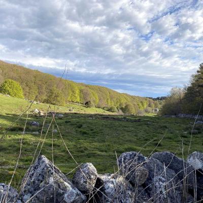 Occitanie Rando Randonnee Lozere Aveyron Traversee Aubrac 4jours Transhumance 02