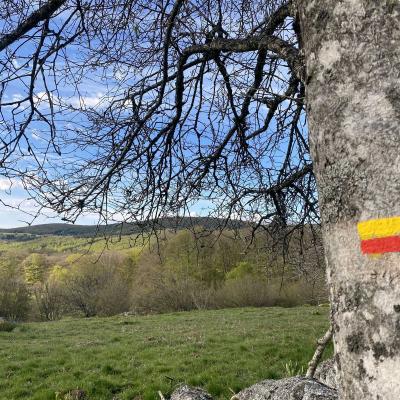 Occitanie Rando Randonnee Lozere Aveyron Traversee Aubrac 4jours Transhumance 08