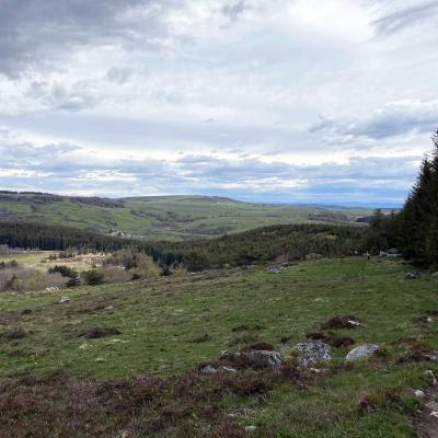 Occitanie Rando Randonnee Lozere Aveyron Traversee Aubrac 4jours Transhumance 120