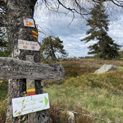 Occitanie Rando Randonnee Lozere Aveyron Traversee Aubrac 4jours Transhumance 122