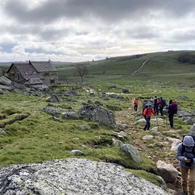 Occitanie Rando Randonnee Lozere Aveyron Traversee Aubrac 4jours Transhumance 387