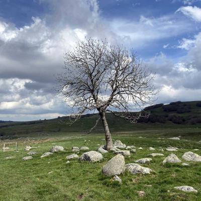 Occitanie Rando Randonnee Lozere Aveyron Traversee Aubrac 4jours Transhumance 397