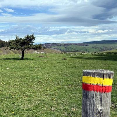 Occitanie Rando Randonnee Lozere Aveyron Traversee Aubrac 4jours Transhumance 405