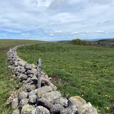 Occitanie Rando Randonnee Lozere Aveyron Traversee Aubrac 4jours Transhumance 535