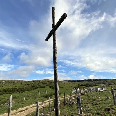 Occitanie Rando Randonnee Lozere Aveyron Traversee Aubrac 4jours Transhumance 565