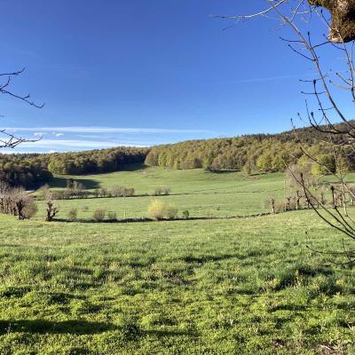 Occitanie Rando Randonnee Lozere Aveyron Traversee Aubrac 4jours Transhumance 617