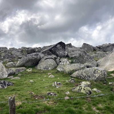 Occitanie Rando Randonnee Lozere Aveyron Traversee Aubrac 4jours Transhumance 691